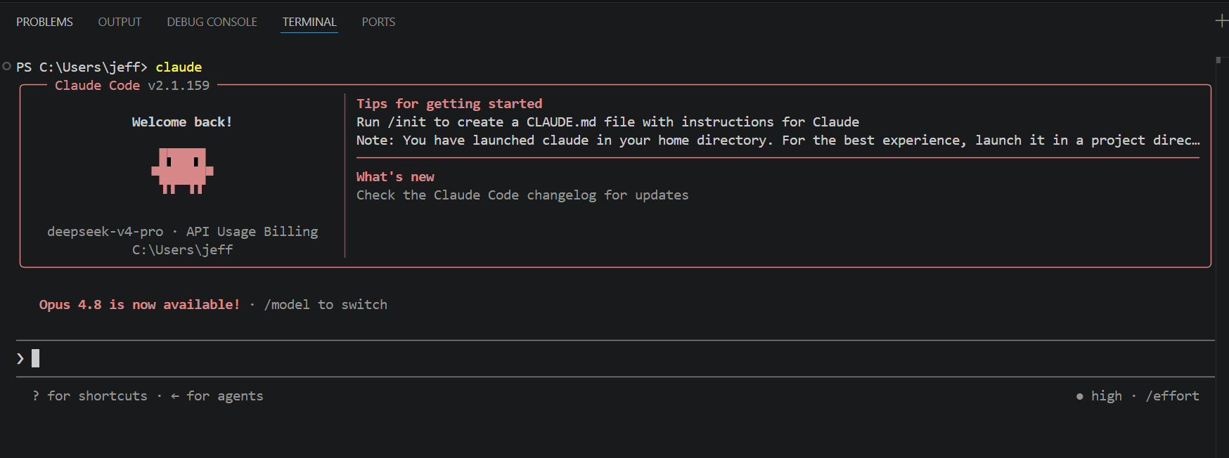 Claude Code terminal interface